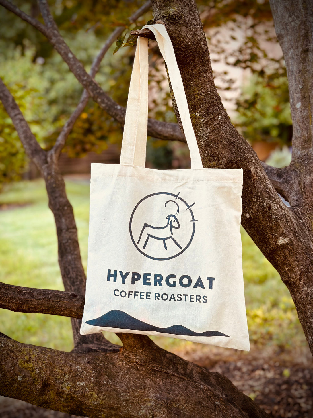Embarking on a Specialty Coffee Journey: Our Mission and Invitation