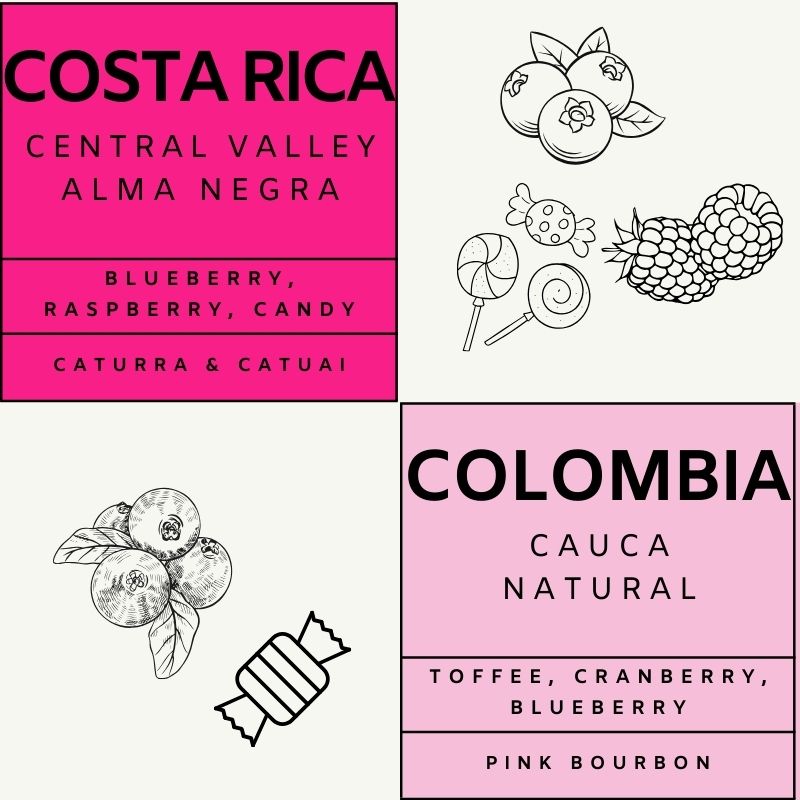 8Oz Dual-Origin Gift Set: Colombian & Costa Rican Coffee Sampler