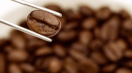 In the Heart of the Bean: Unveiling the Secrets of Coffee Evaluation