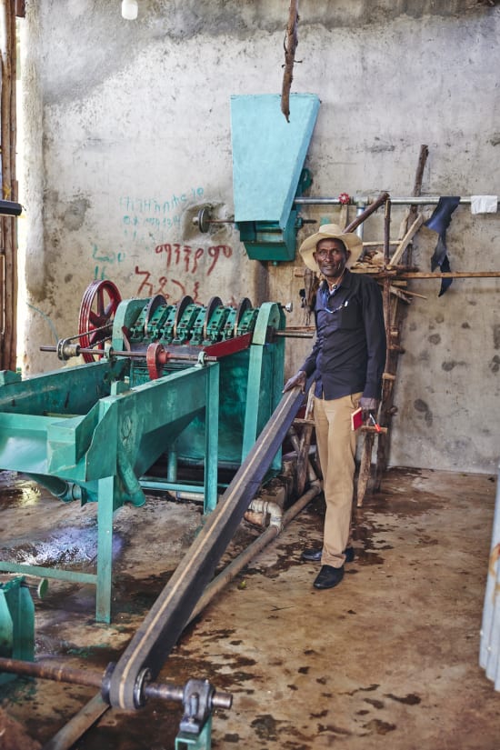 Ethiopia Sidama - 74158, Whole Beans