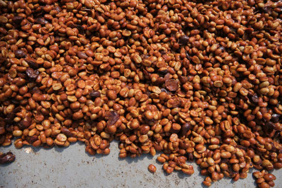 Costa Rica Finca Sabanilla - Anacafe14, Whole Beans