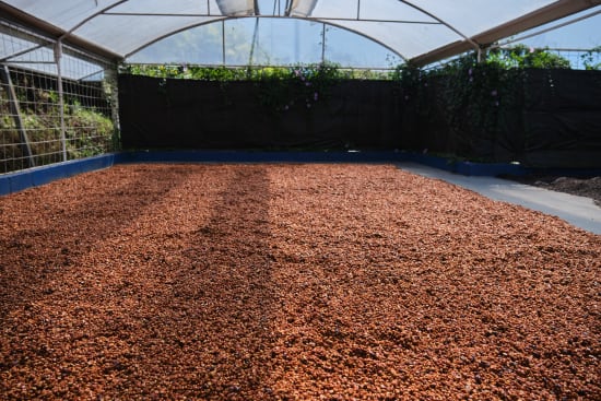 Costa Rica Finca Sabanilla - Anacafe14, Whole Beans