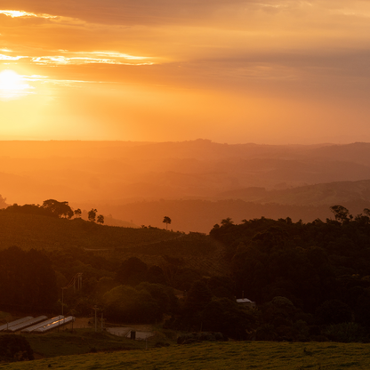 Sunset over a landscape with trees and fields