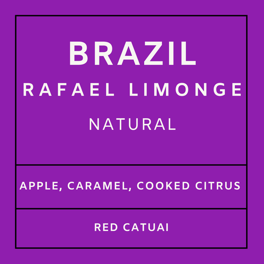 Brazil Rafael Limonge - Red Catuai, Whole Beans
