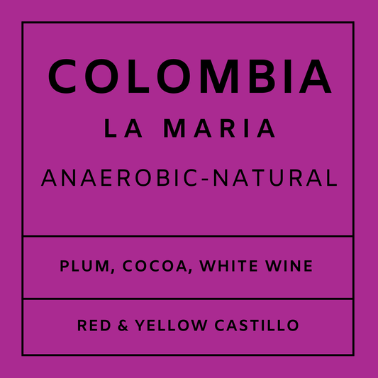 Colombia La Maria - Castillo, Whole Beans