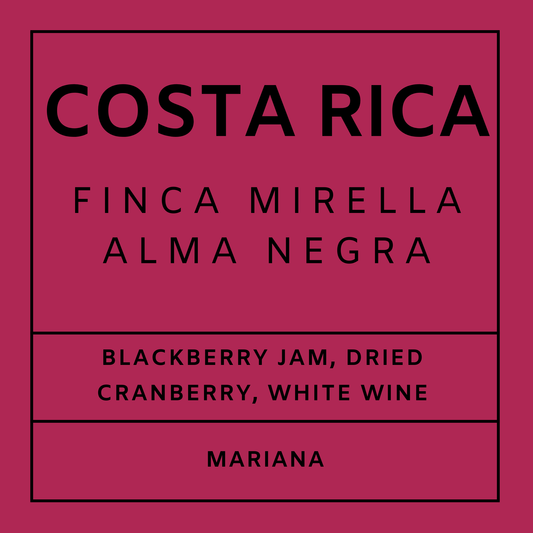 Costa Rica Finca Mirella - Light Roast Mariana, Whole Beans