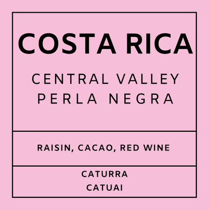 Costa Rica Central Valley - Light Roast Caturra & Catuai, Whole Beans