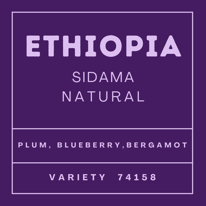 Ethiopia Sidama - 74158, Whole Beans