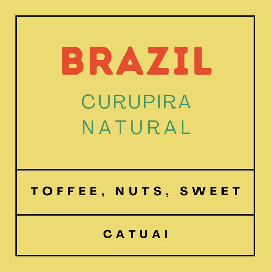 Brazil Curupira - Medium Roast Catuai, Whole Beans