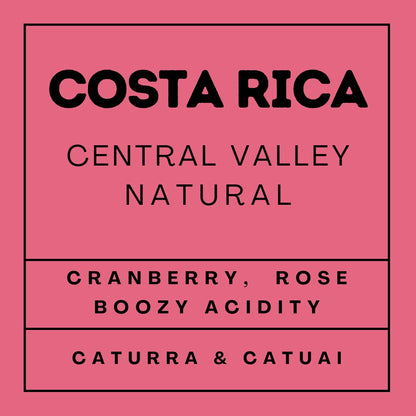 Costa Rica Central Valley - Light Roast Caturra & Catuai, Whole Beans