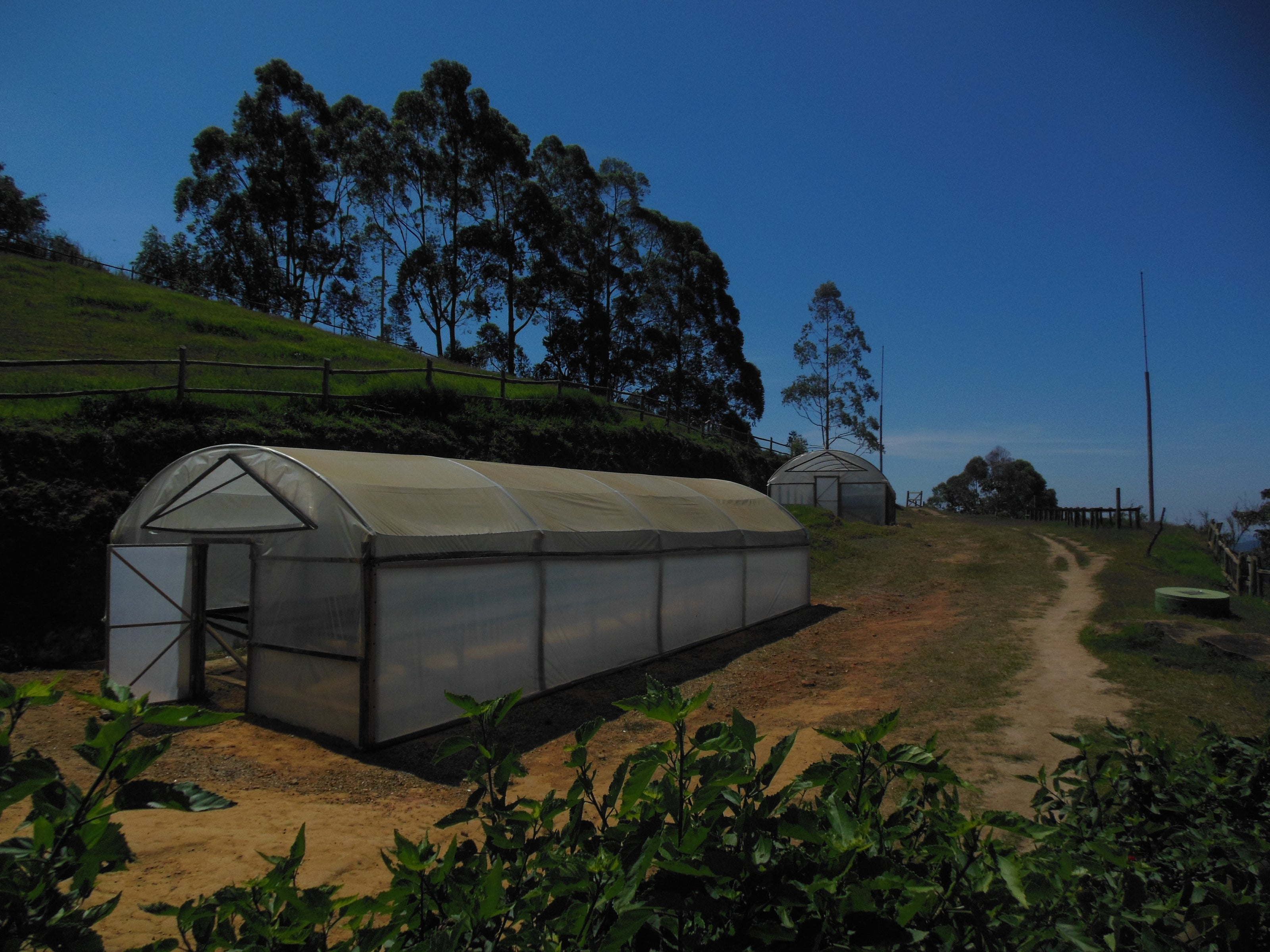 A coffee Drying station in a farm in Brazil